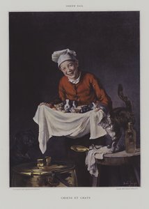 犬と猫