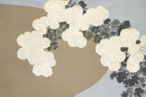 Momoyo-only、Momoyo-onlyから