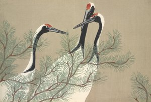 Tsuru, from Momoyo-gusa
