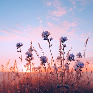 花畑 2