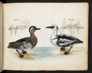 MS 6485 を追加