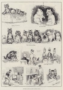 クリスタルパレスの猫ショーでのスケッチ