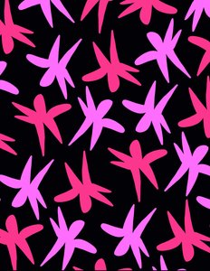 花の星（デジタル）