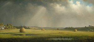 ニューベリーポートメドウズ、ca。 1876-81。