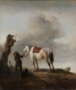 灰色の馬、1646年頃