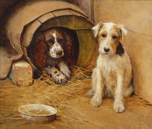 犬小屋で