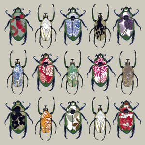 Beetledrive、2008（デジタル）