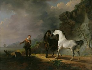 Houyhnhnms、1769年に対処するガリバー