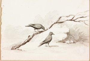 次のアーティストによるアート作品 Thomas Bewick