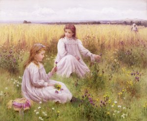 草原の花