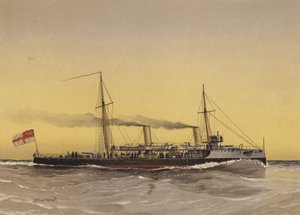 HMSスピードウェル、魚雷砲艦