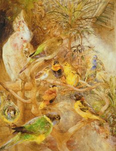 鳥小鳥園、1871