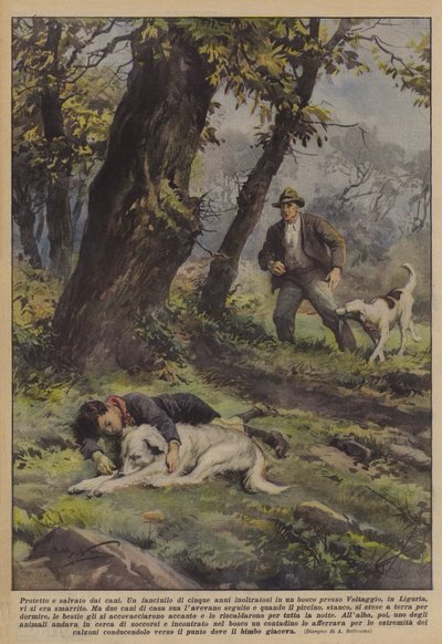 犬から保護され、救われた 作： Achille Beltrame