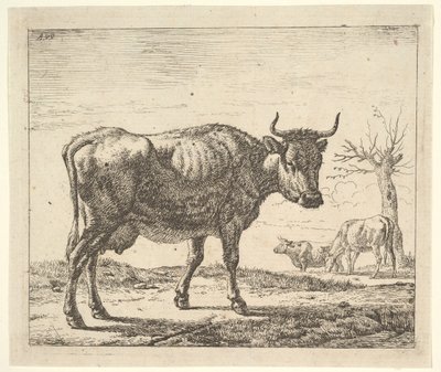 異なる動物の3頭の牛。 作： Adriaen van de Velde