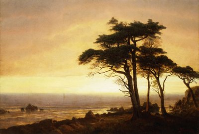 カリフォルニアコースト、 作： Albert Bierstadt