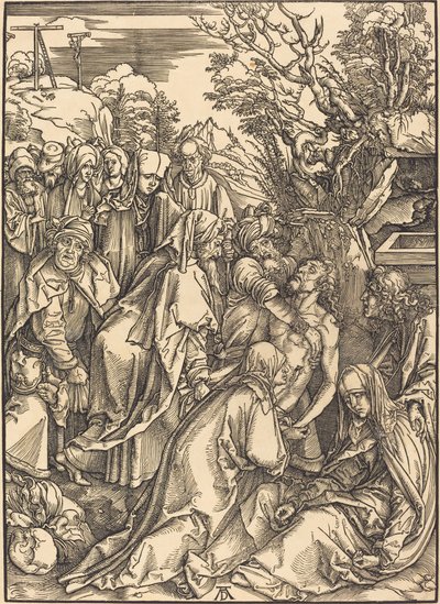 沈着 作： Albrecht Dürer