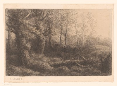 フォレストビュー 作： Alphonse Legros (attributed to)