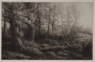 森林研究 作： Alphonse Legros