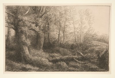 森林研究 作： Alphonse Legros