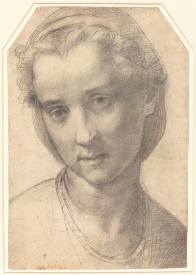 女性の頭 作： Andrea del Sarto