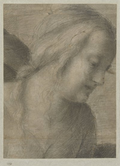 崇拝のマリアの頭 作： Andrea del Sarto