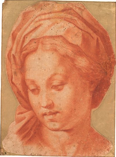 マドンナ・ボルゲーゼ 作： Andrea del Sarto