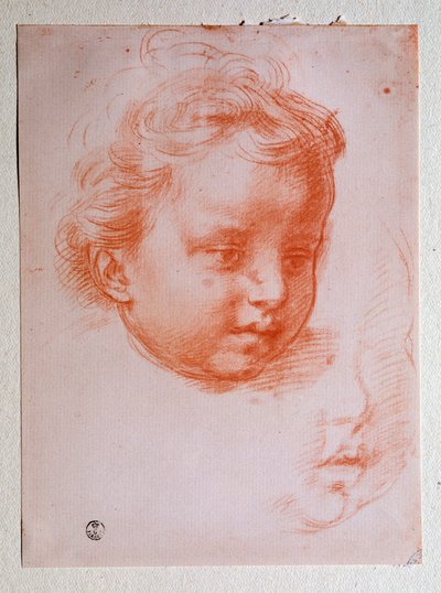 プットの頭（図面 作： Andrea del Sarto