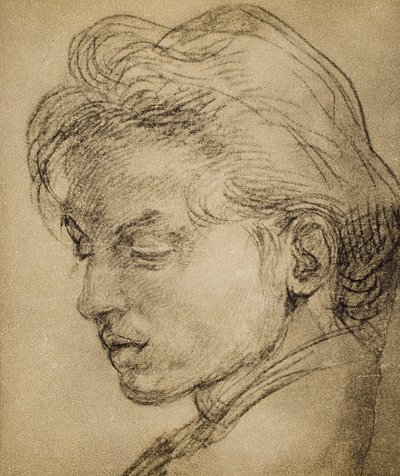 プロファイルの精力的な頭 作： Andrea del Sarto