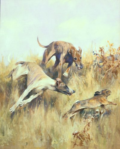 Greyhounds Giving Chase (紙にグワッシュ) 作： Arthur Wardle