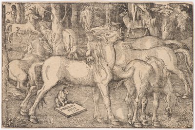 7頭の馬の群像、1534年 作： Baldung