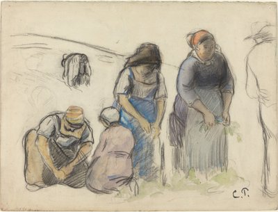 エンドウの収穫機 [直訳]、c。 1880年。 作： Camille Pissarro