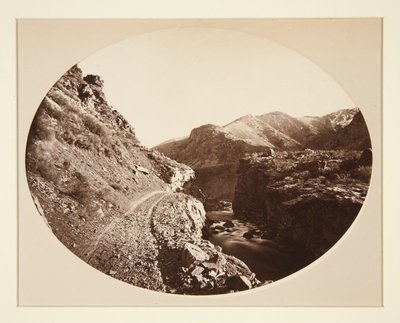 悪魔 作： Carleton E. Watkins