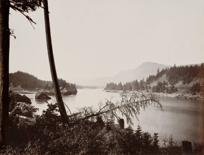 コロンビアの眺め、カスケード、1867年。 作： Carleton Emmons Watkins