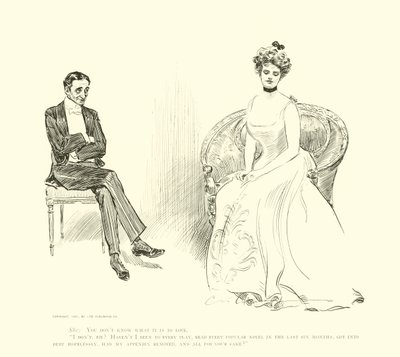 社会のはしごのイラスト 作： Charles Dana Gibson