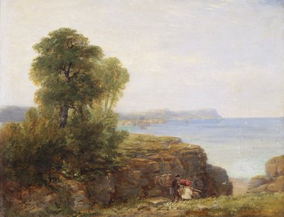 「カーディガン湾」、1846 年 作： David Cox the elder