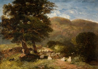 羊の世話、Bettws-y-Coed、1849年。 作： David Cox the elder