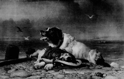 保存！、c1856、1911 作： Edwin Landseer