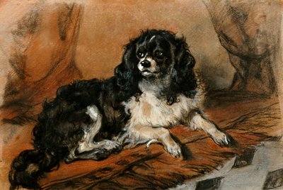 チャールズ王スパニエル 作： Edwin Landseer