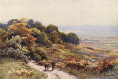 Burley Moor (カラーリソ) 作： Ernest William Haslehust