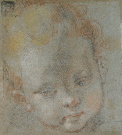 子供の頭、16 世紀後半 作： Federico Barocci