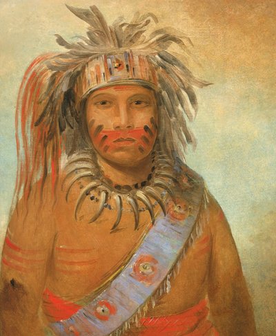 Au-nim-muck-kwa-um、テンペスト バード、1845 年。 作： George Catlin