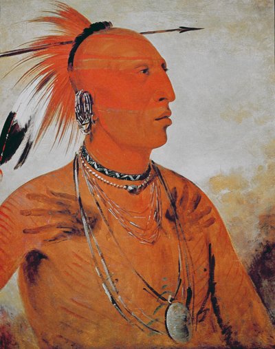 ブレイブ・チーフ 作： George Catlin