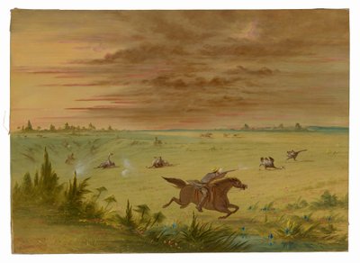 オーストリッチ チェイス、ブエノスアイレス - アウカ 作： George Catlin