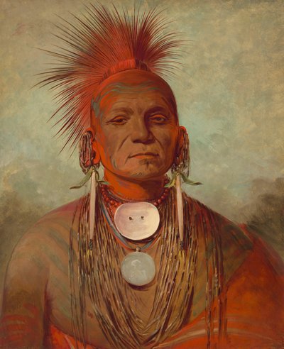 See-non-ty-a、アイオワのメディスンマン 作： George Catlin