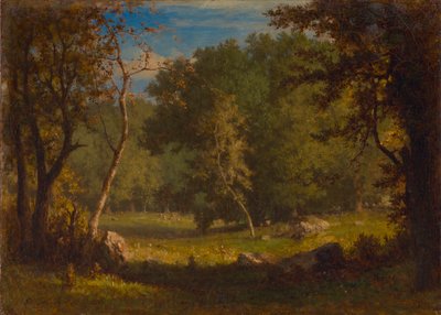 エルフ グラウンド、カリフォルニア州。 1860年。 作： George Inness