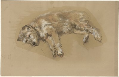 横たわっている犬 作： Guillaume Anne van der Brugghen