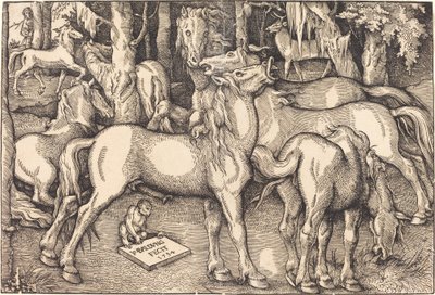 7頭の馬のグループ 作： Hans Baldung Grien