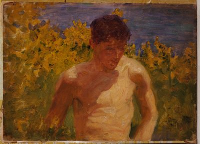 ジョニー・ジャケット 作： Henry Scott Tuke