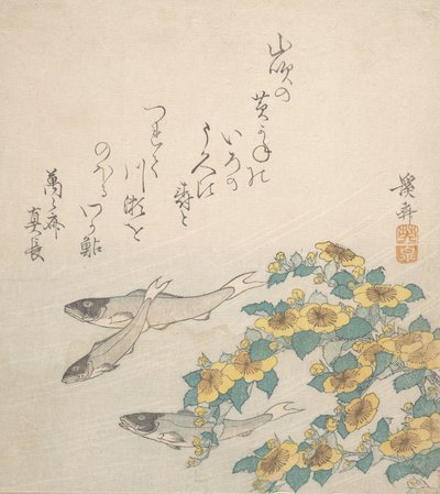 黄色い花と泳ぐ魚、カリフォルニア州。 1830年。 作： Ikeda Eisen