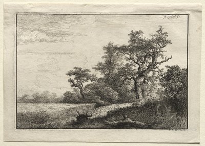 麦畑 作： Jacob van Ruisdael